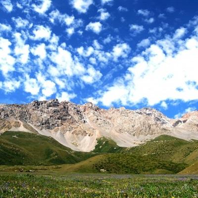 从唐古拉山到拉萨，他们日复一日、年复一年地巡护在青藏铁路沿线——坚守雪域高原 守护天路平安